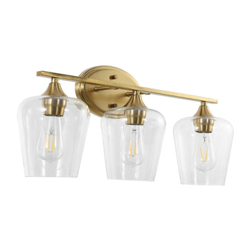 Jayne Iron/Glass Cottage Rustic LED Vanity Light